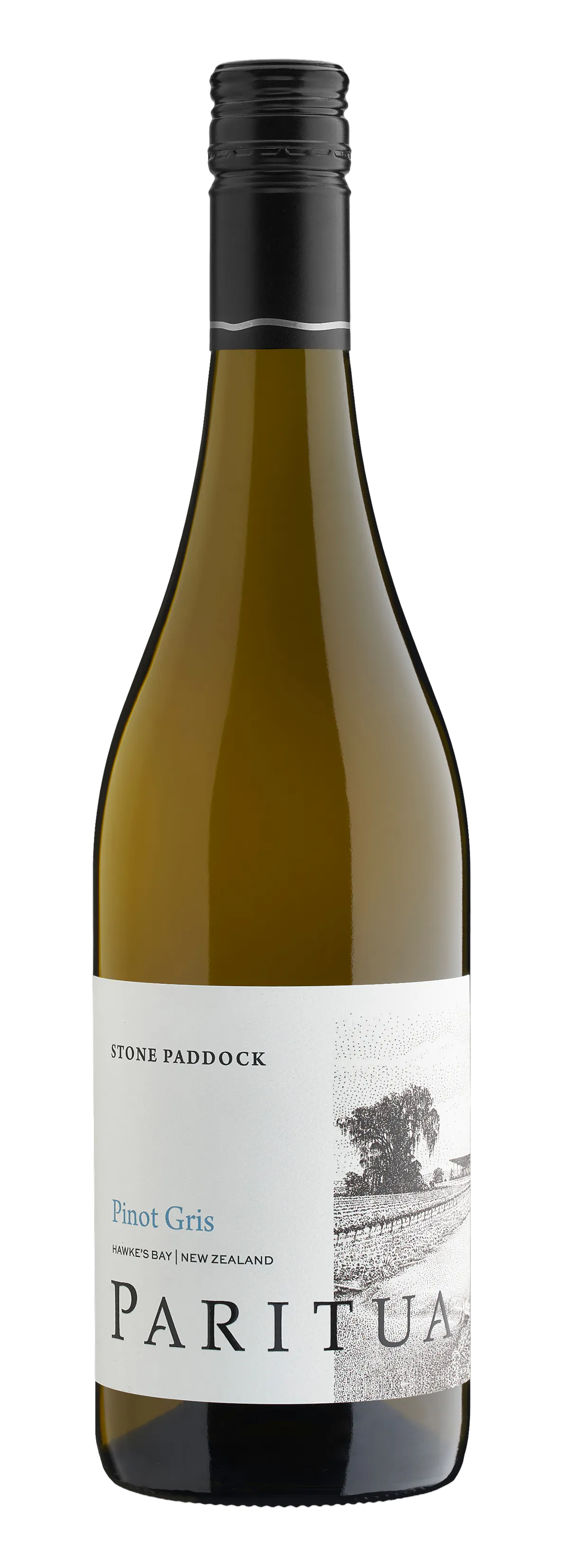 Paritua SP HB Pinotgris 23 NV 1 web