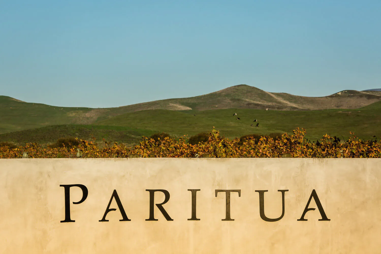 Paritua gallery img entrance
