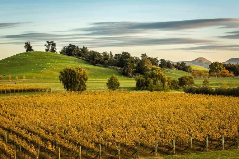 Paritua gallery img land 768x512