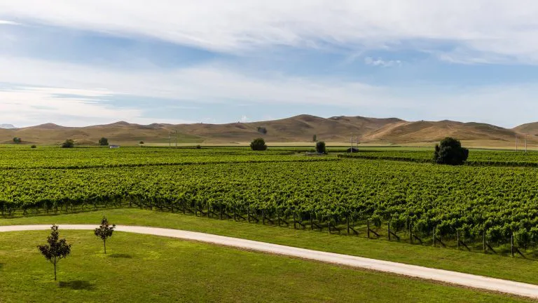 Paritua gallery img landscape 768x432